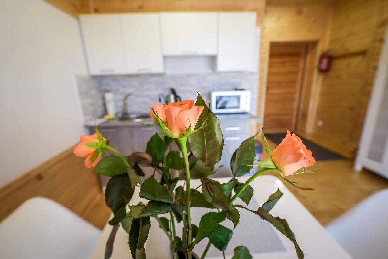 Pokoje Kama Villa Zator Kültér fotó